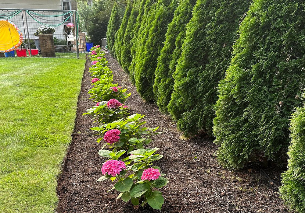 Best-Landscaping-Maintenance-in-Plainfield-NJ Best Landscaping Maintenance in Plainfield NJ.jpg