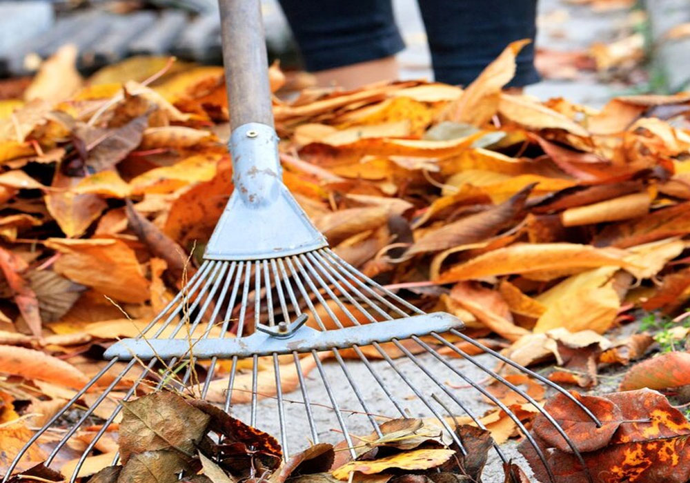 Fall-cleanup-services-company-Plainfield-NJ Fall cleanup services company Plainfield NJ